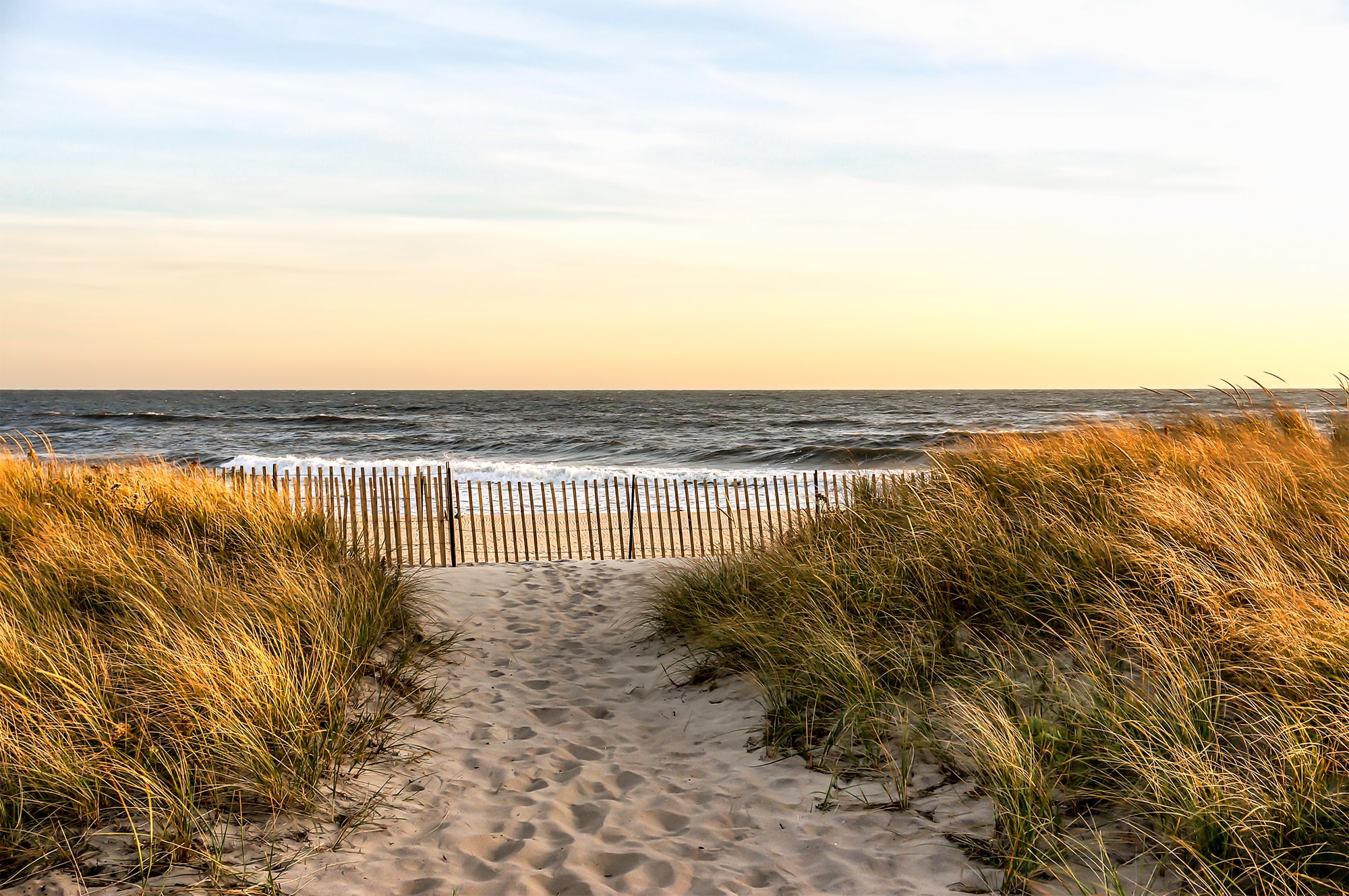 Summer on Long Island 2020: What to Do This Summer