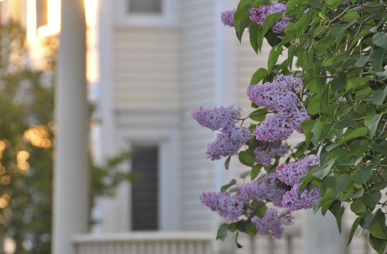 Mortgage Rates Are on a Downward Trend: What it Means for the Spring Long Island Real Estate Market