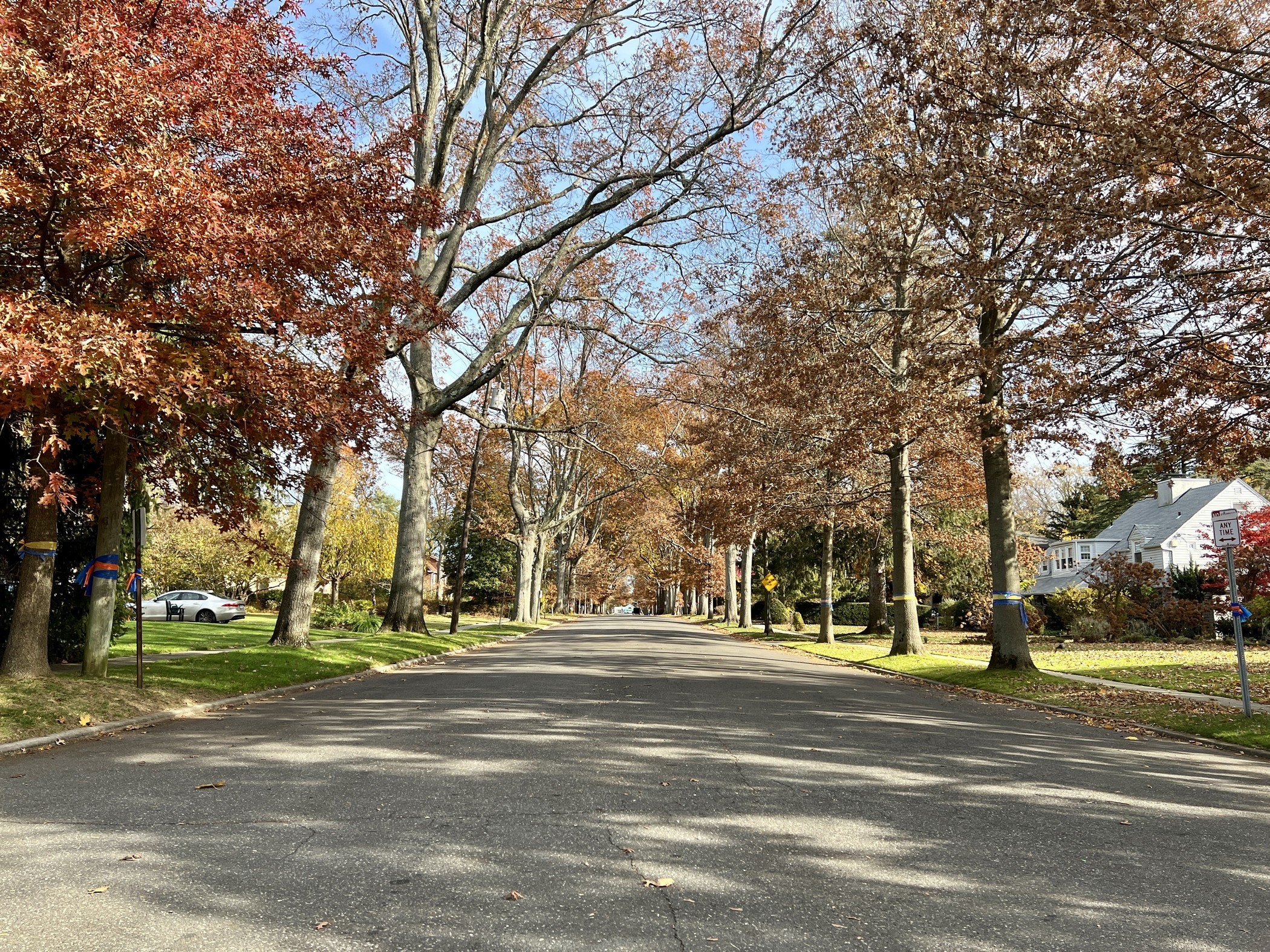 Old Westbury and Manhasset Rank Among America's Most Expensive ZIP Codes in 2026
