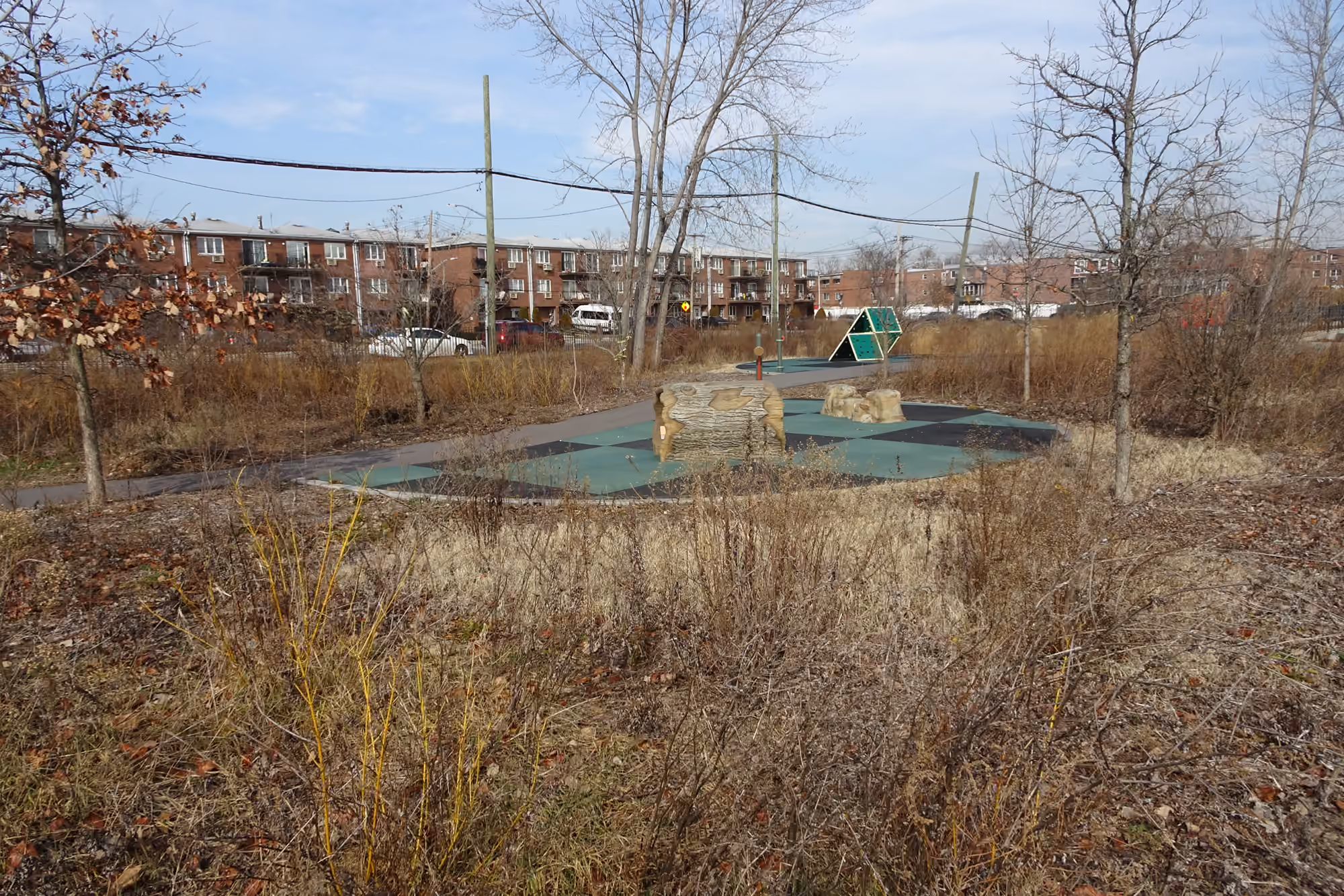 Open green space and pathways in Canarsie Park near Seaview Avenue