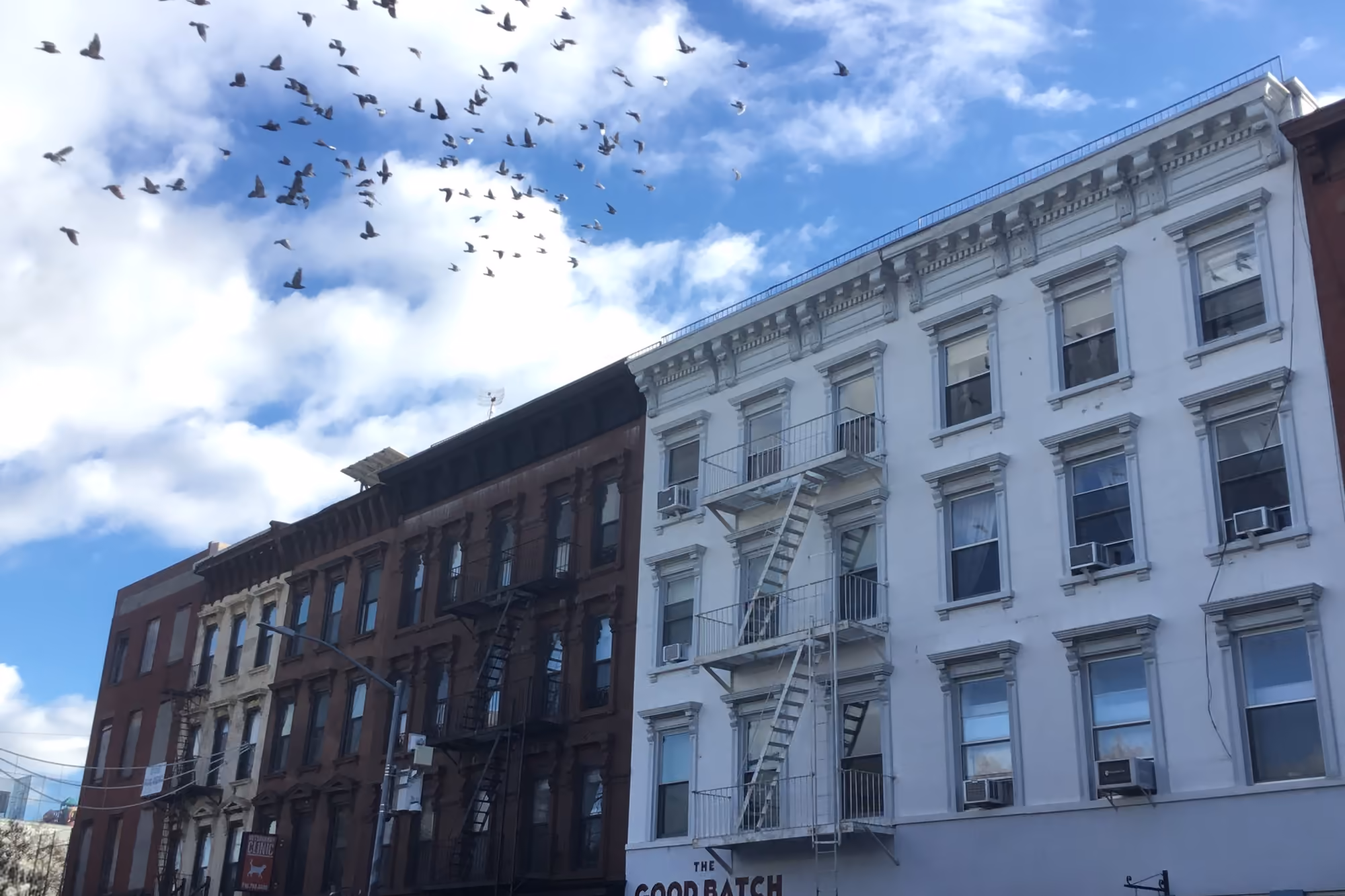 Historic rowhouses beneath a cloud-filled sky in Clinton Hill