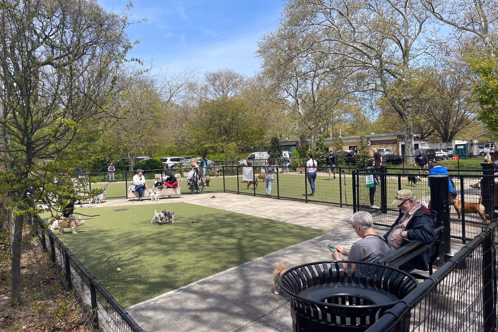 Trees, benches, and a neighborhood dog run in Kensington