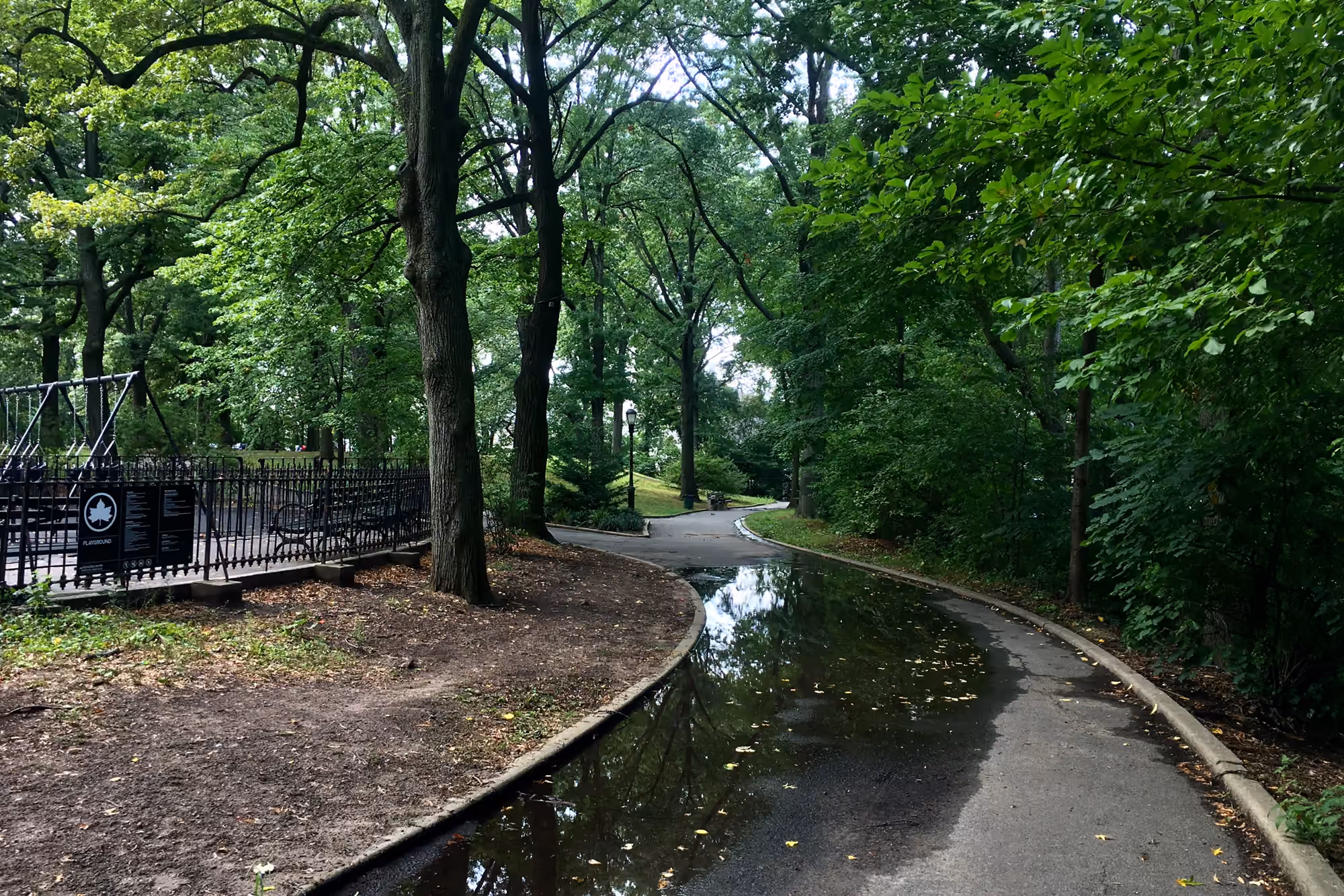 A winding path through Mount Prospect Park in Prospect Heights