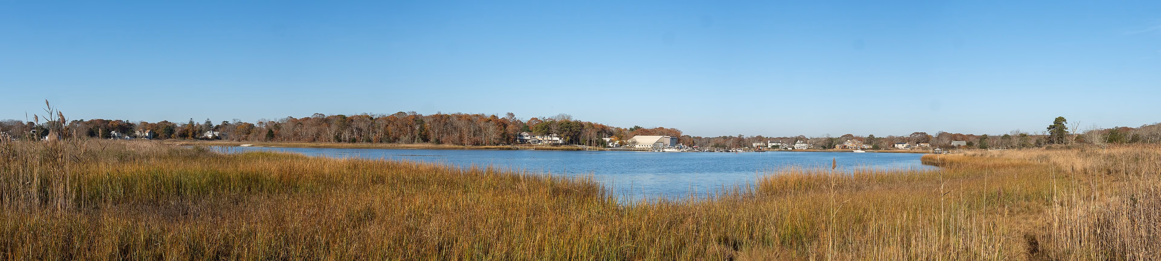 Salt marsh and Shinnecock Bay at Pine Neck Sanctuary in East Quogue