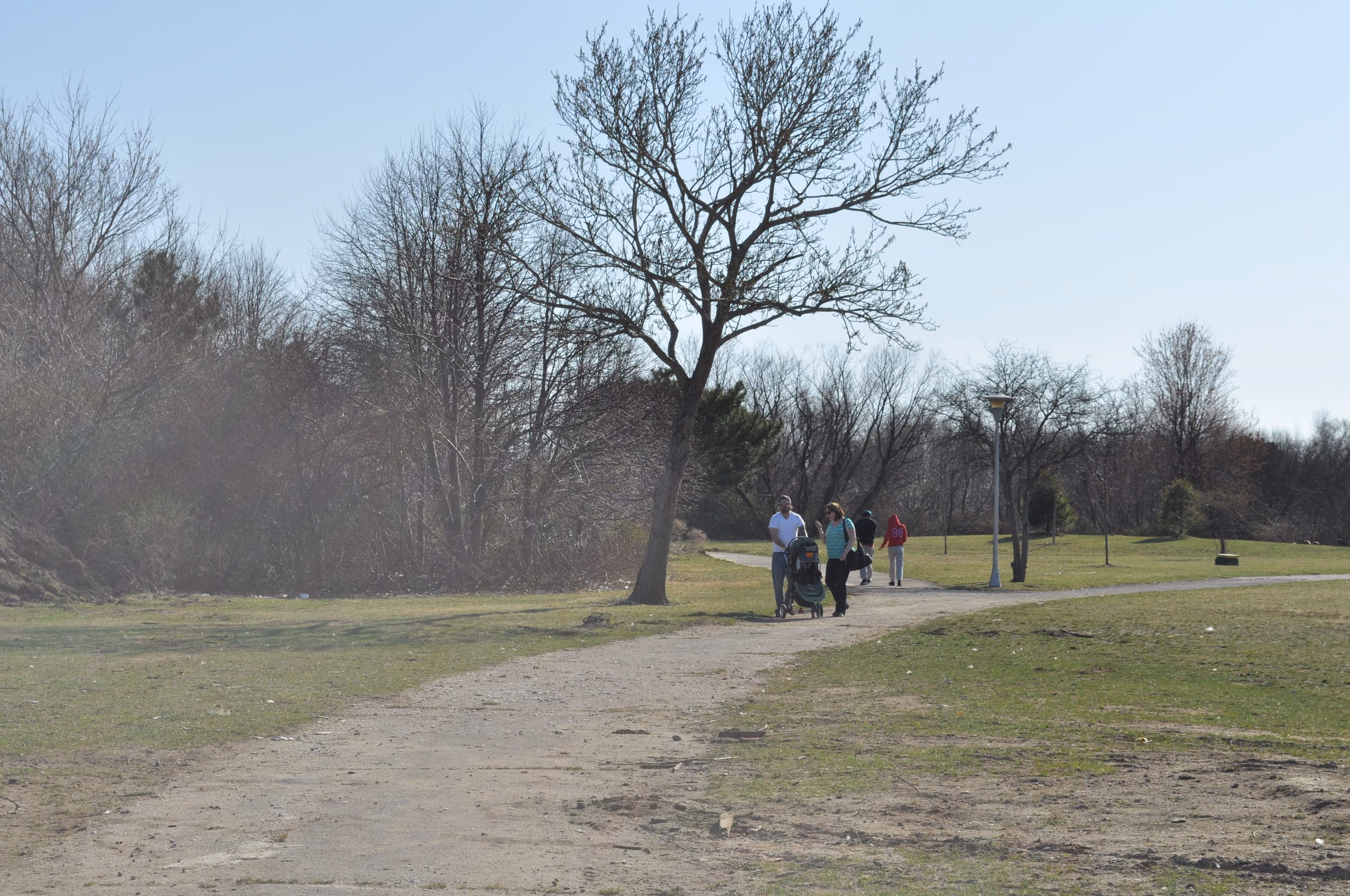 Walking path through Cow Meadow Preserve in Freeport