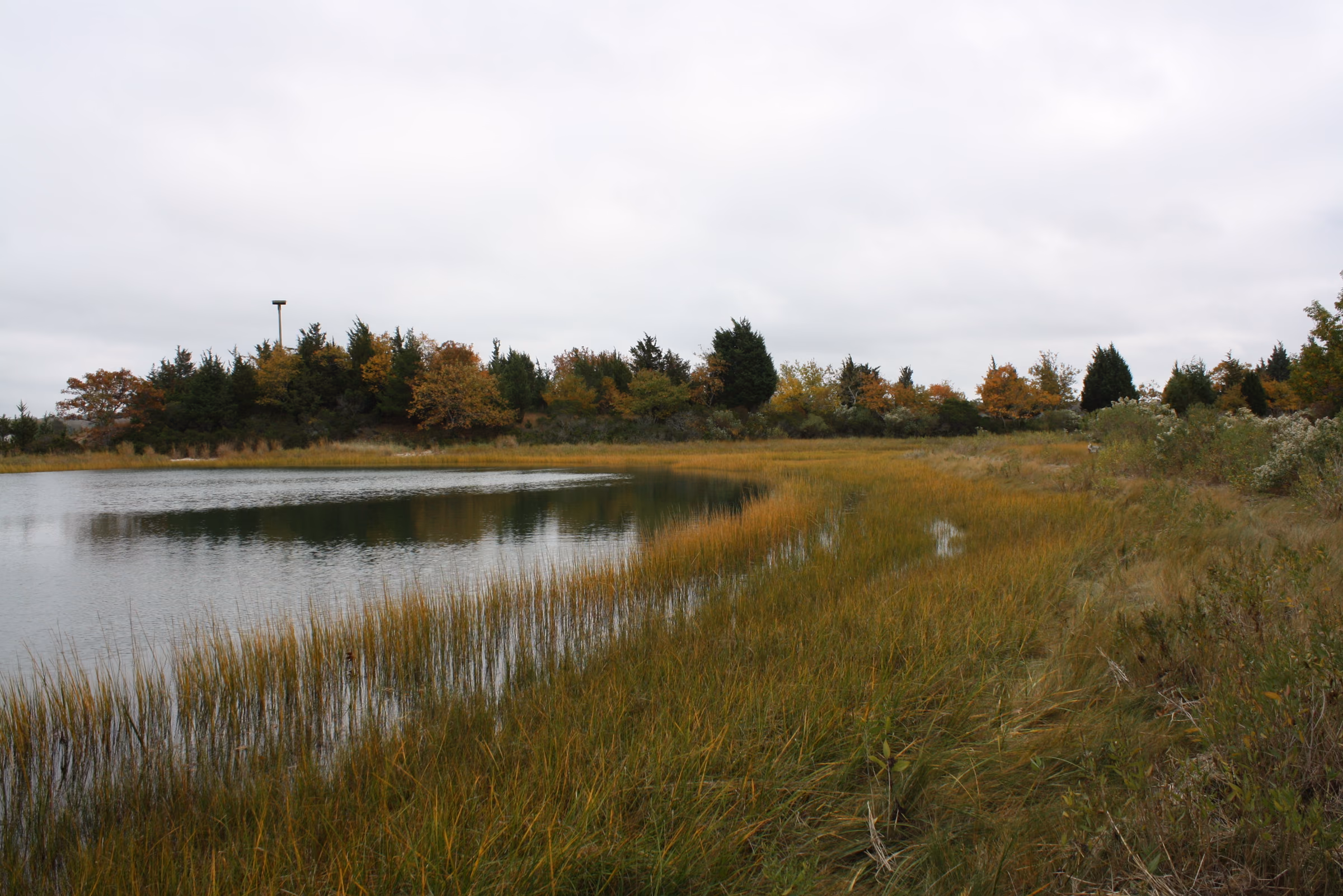 Salt marsh and open water at Conscience Point National Wildlife Refuge in North Sea