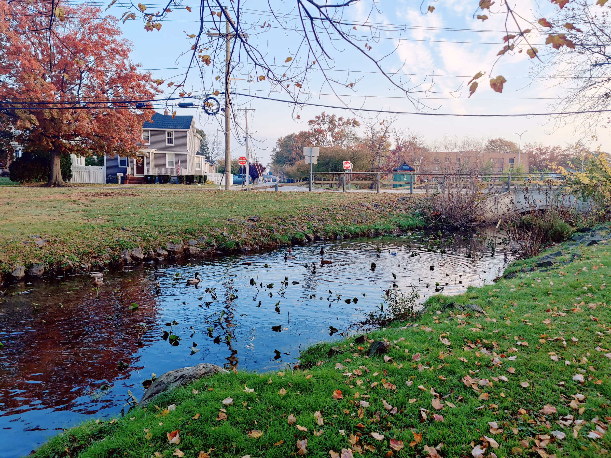 Pond, ducks, and autumn trees in Valley Stream Park