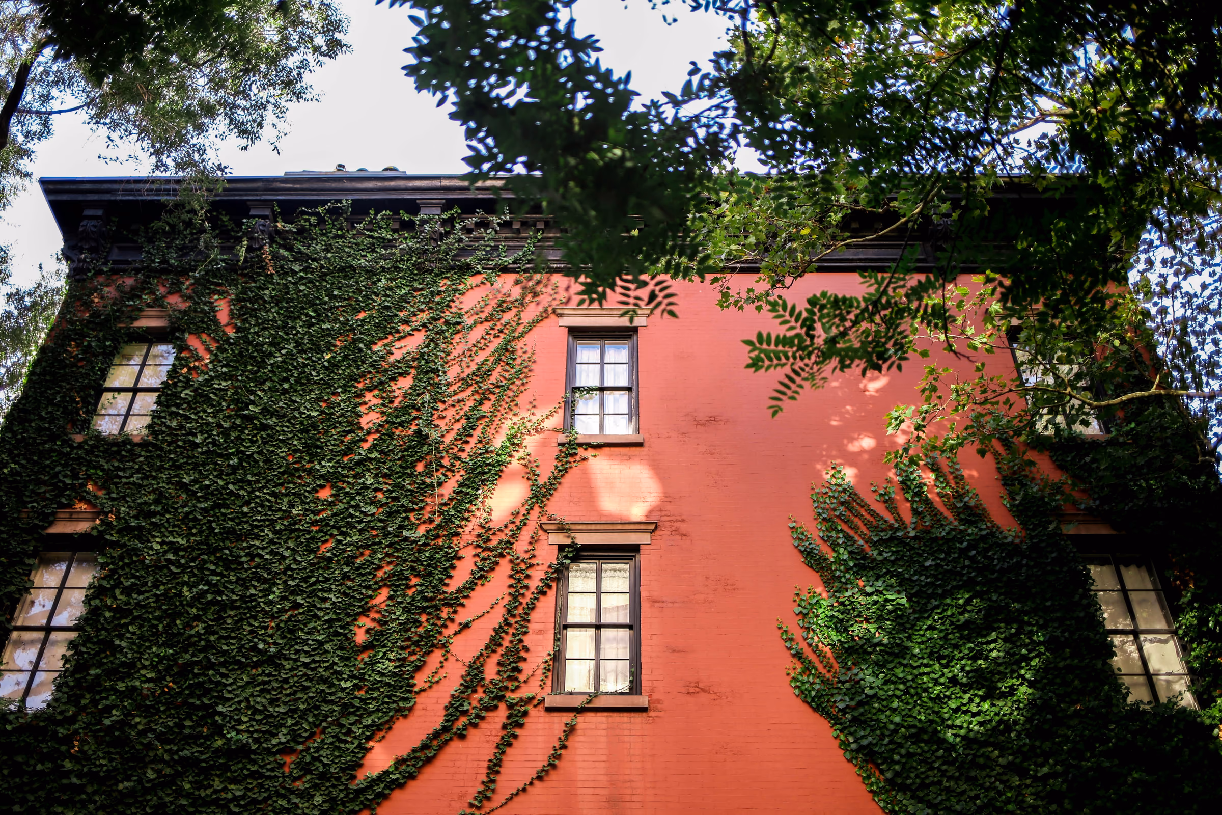 Ivy-covered red brick facade in Chelsea, Manhattan