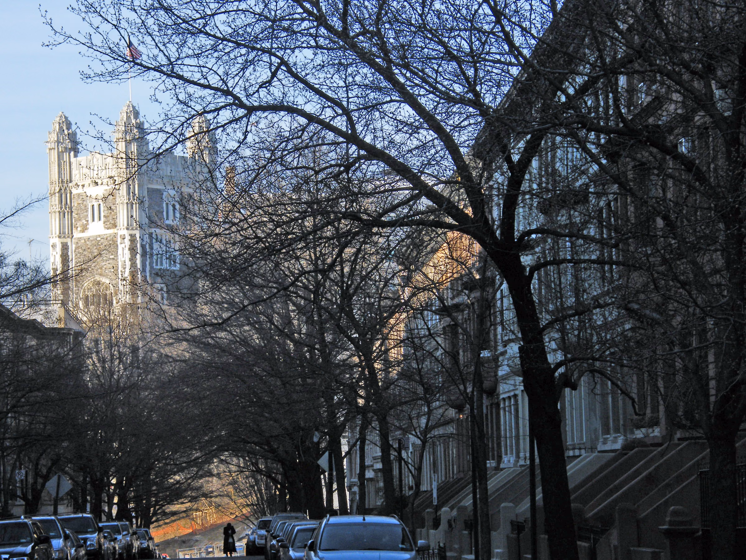 Tree-lined residential street with historic row houses and City College in Hamilton Heights.