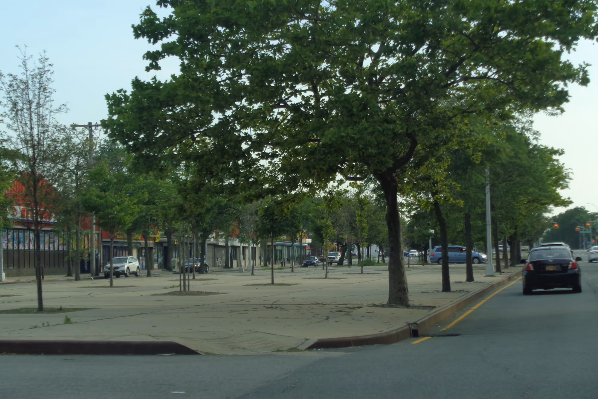 Hillside Avenue streetscape in the Bellerose neighborhood of Queens