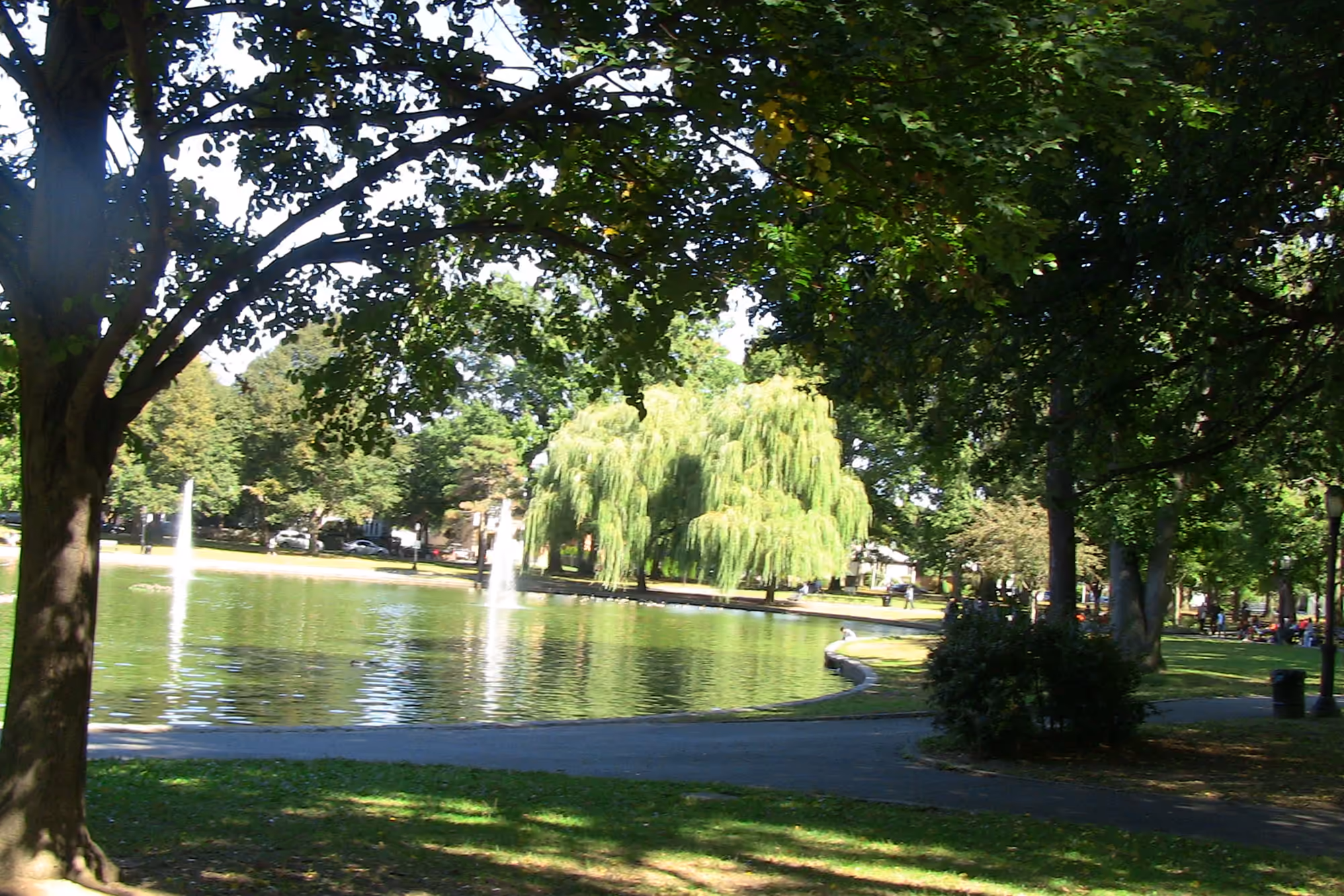 Trees reflected in the lake at Bowne Park in Flushing