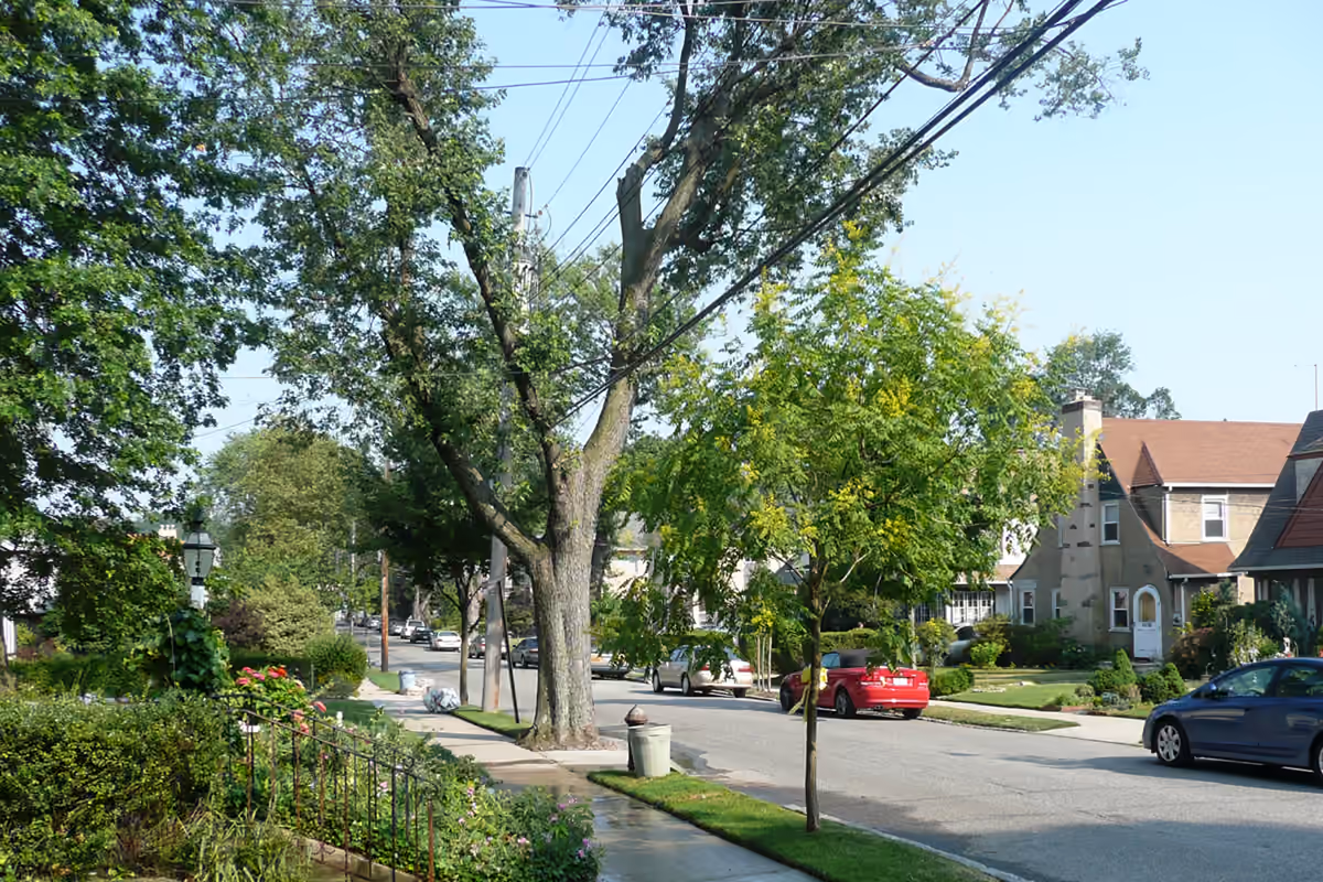 Residential streetscape in Little Neck