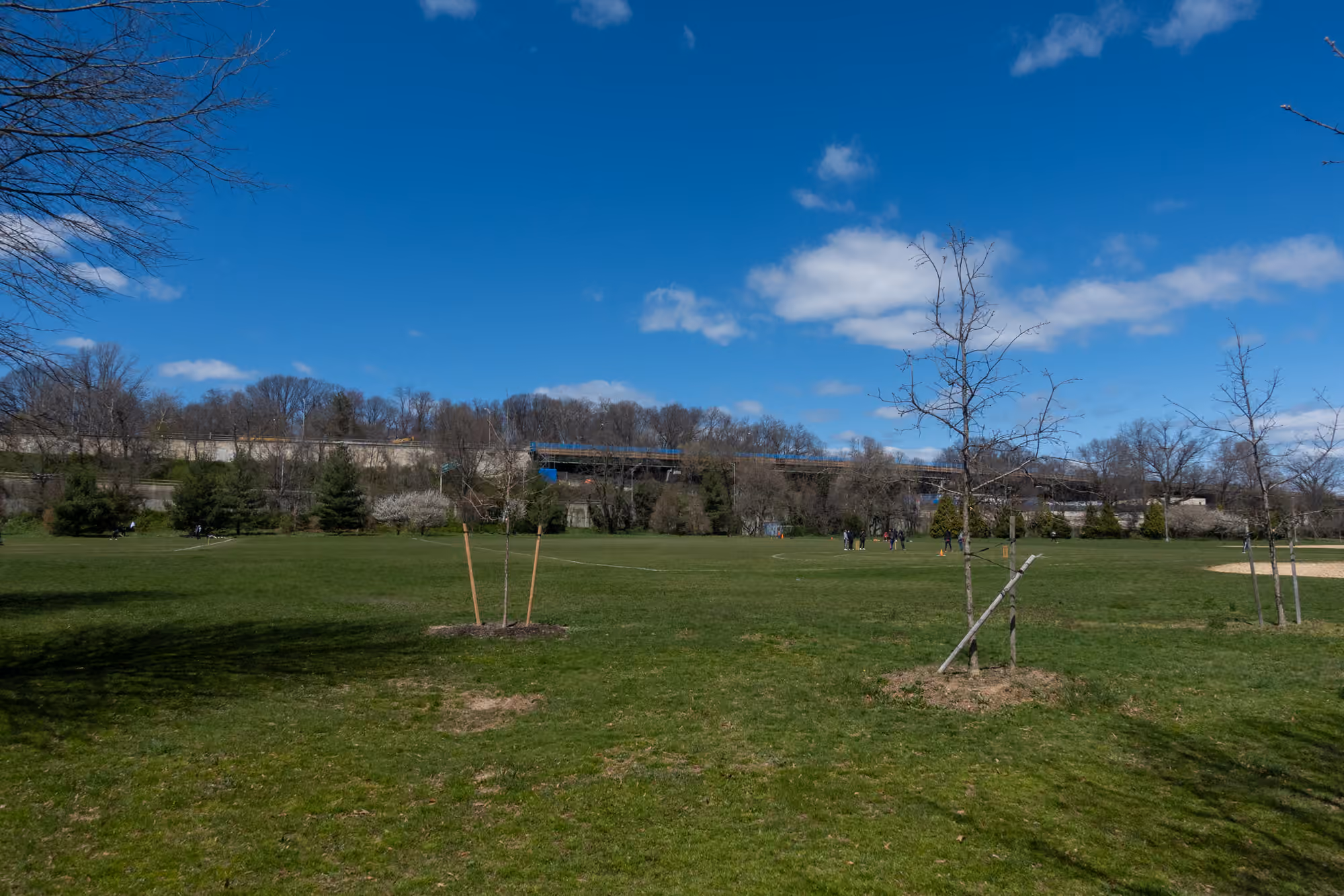 Athletic fields and trees in Alley Pond Park in Oakland Gardens
