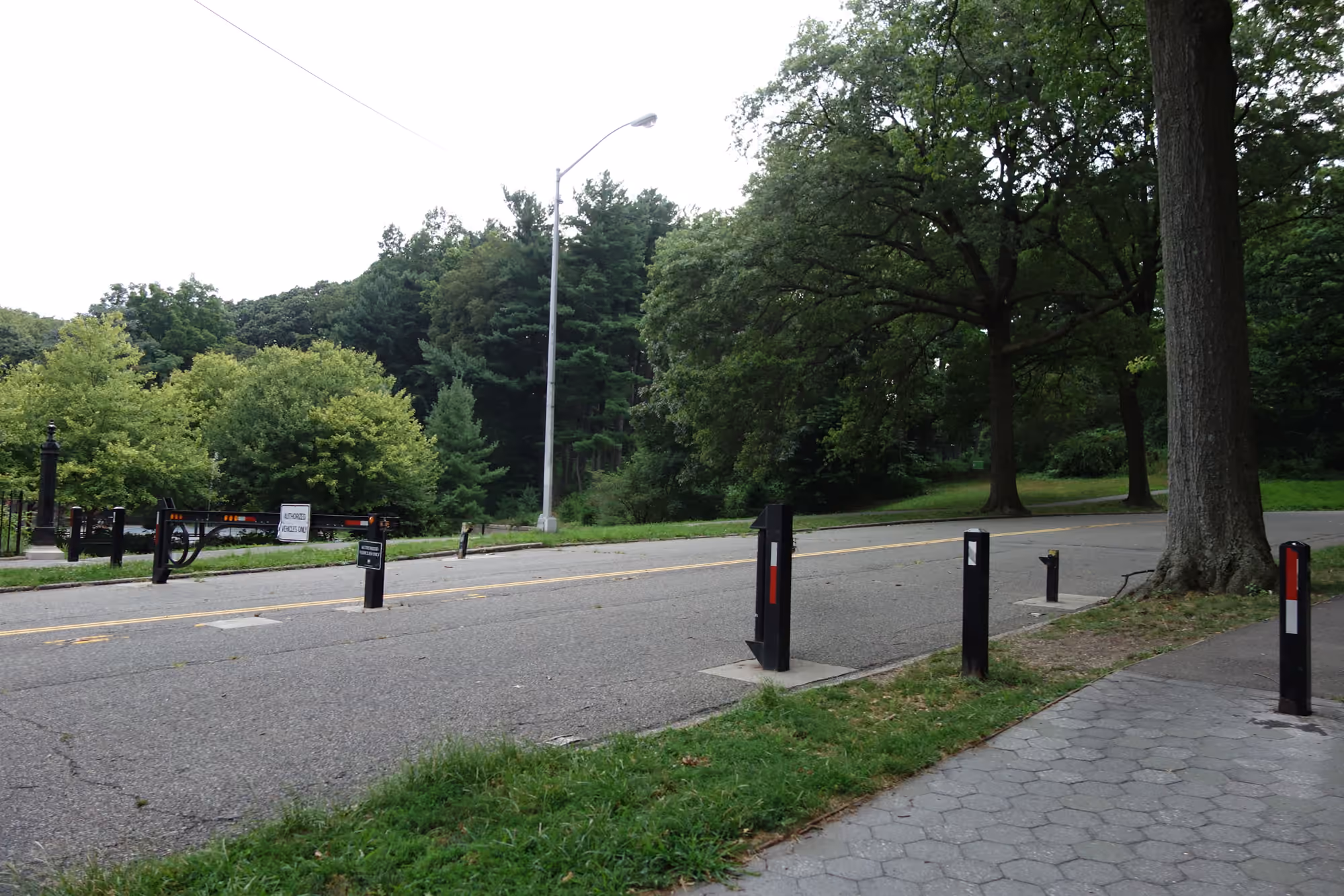 The Richmond Hill entrance to Forest Park