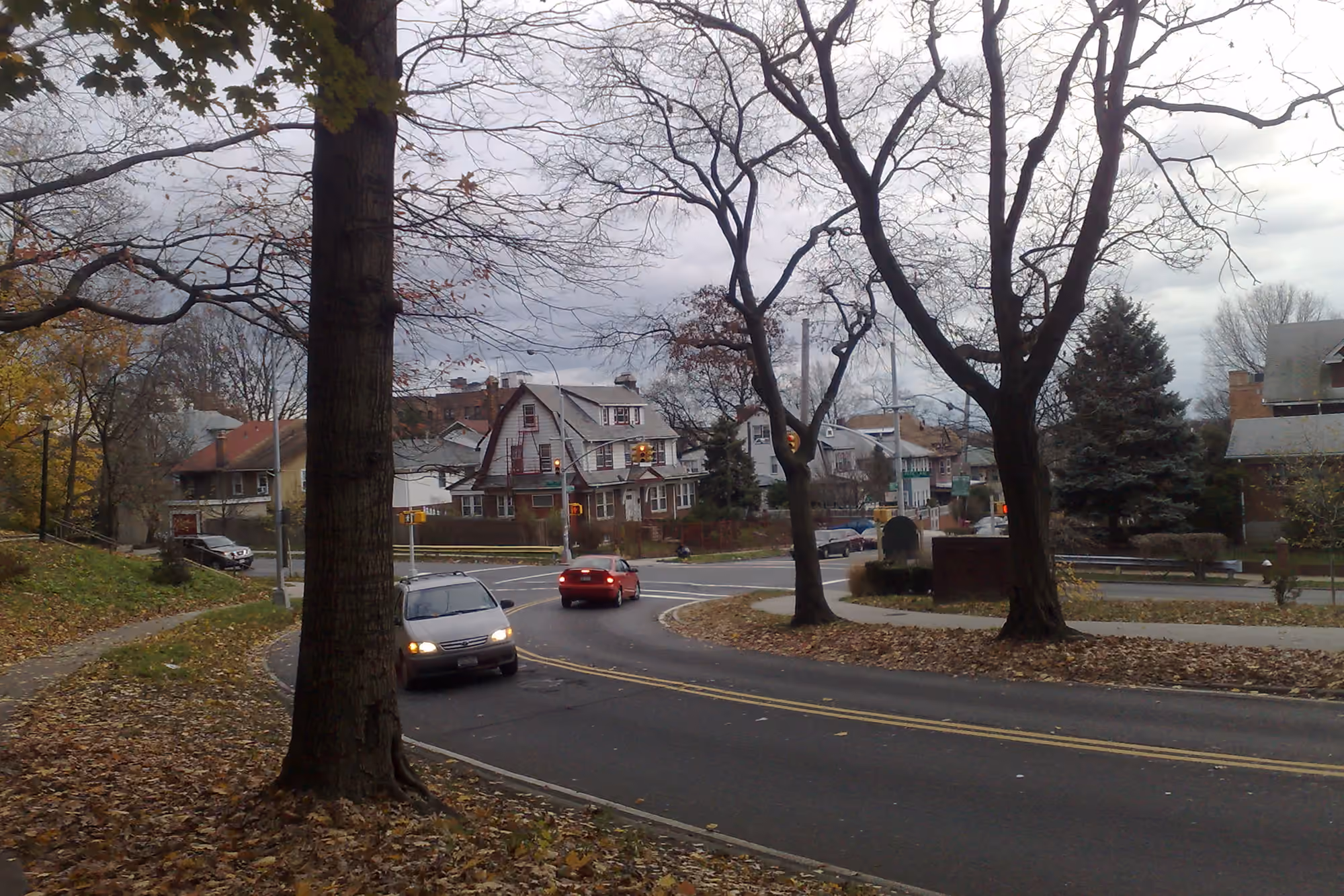 Homes and trees along the edge of Forest Park in Woodhaven